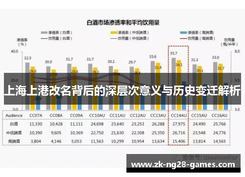 上海上港改名背后的深层次意义与历史变迁解析