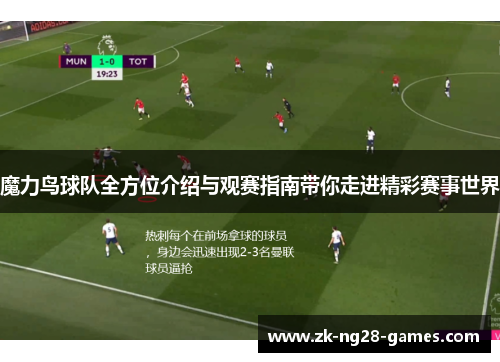 魔力鸟球队全方位介绍与观赛指南带你走进精彩赛事世界